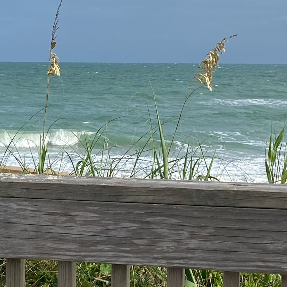 Meet your Posher, Barb